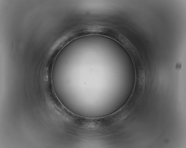 X0000112200731200908141433