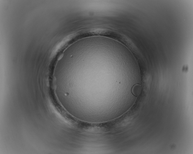 X0000112200734200908141433