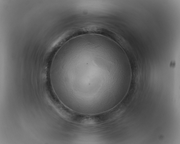 X0000112200735200908141433