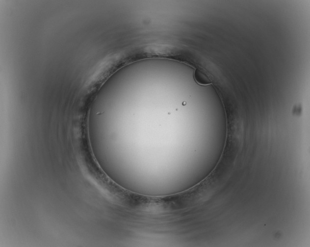 X0000112200738200908141433