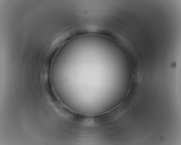 X0000112200740200908141433