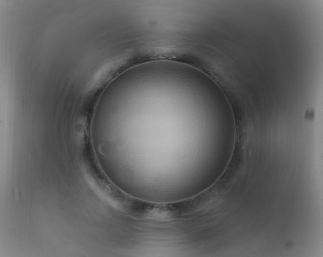 X0000112200742200908141433