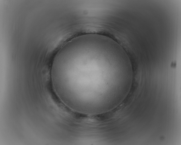 X0000112200743200908141433