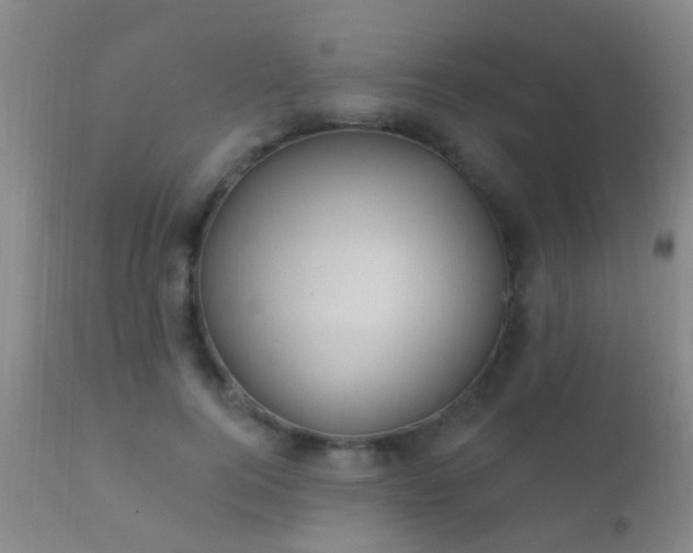 X0000112200744200908141433