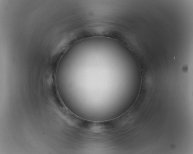 X0000112200746200908141433