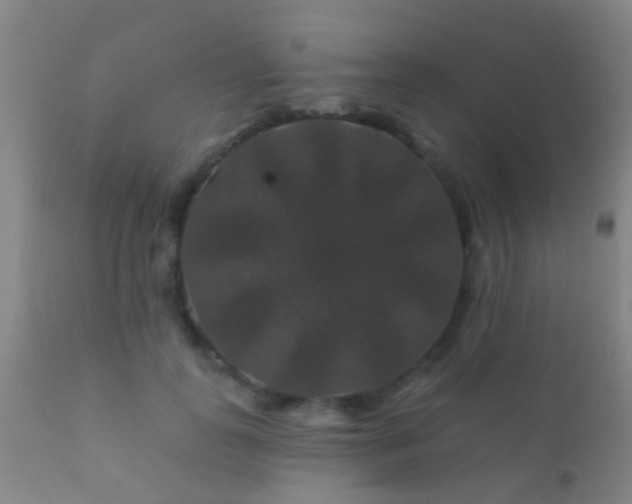 X0000112200747200908141433