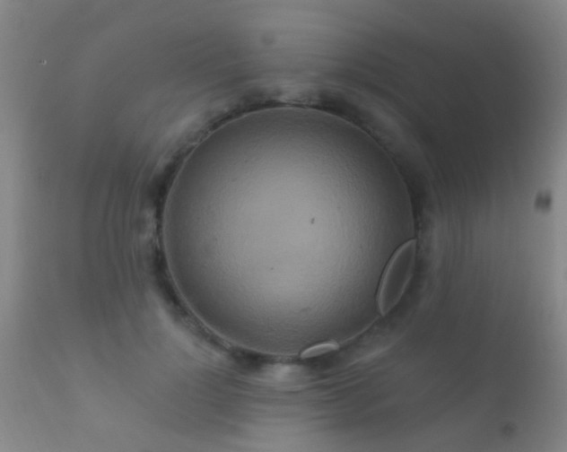 X0000112200748200908141433