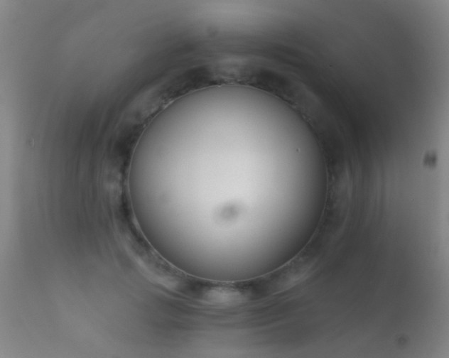 X0000112200749200908141433