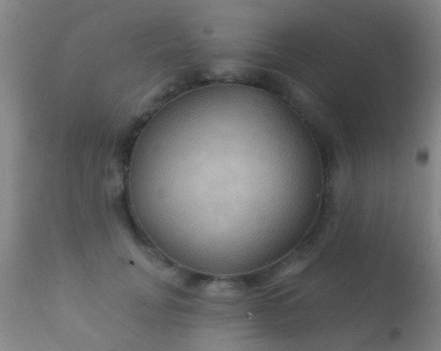 X0000112200751200908141433