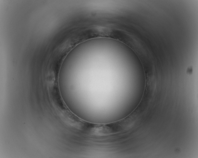 X0000112200752200908141433