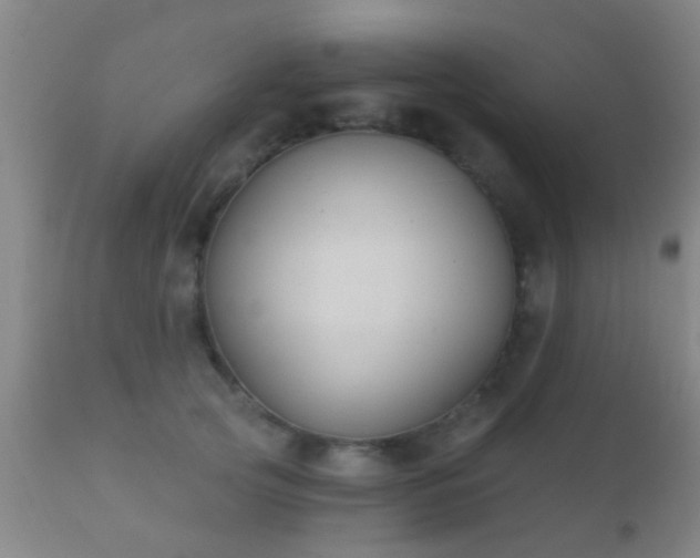X0000112200753200908141433