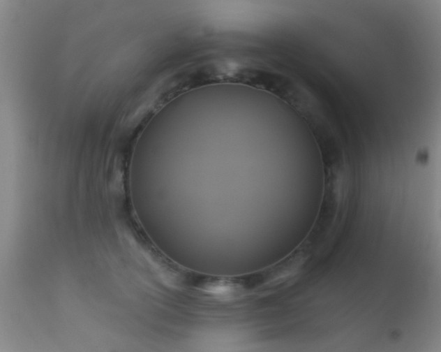 X0000112200754200908141433