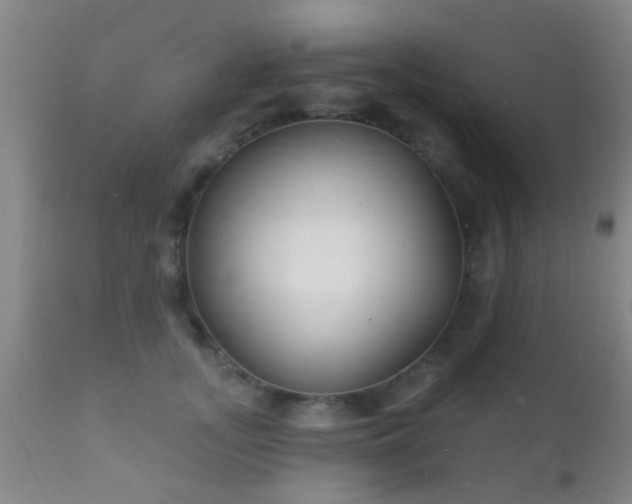 X0000112200755200908141433