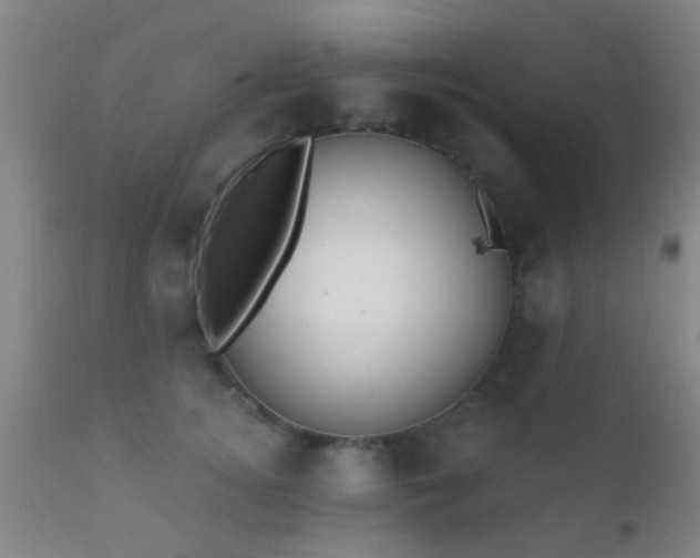 X0000112200756200908141433