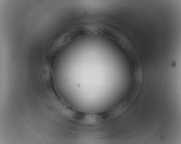X0000112200757200908141433