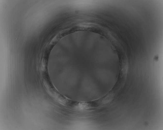 X0000112200758200908141433