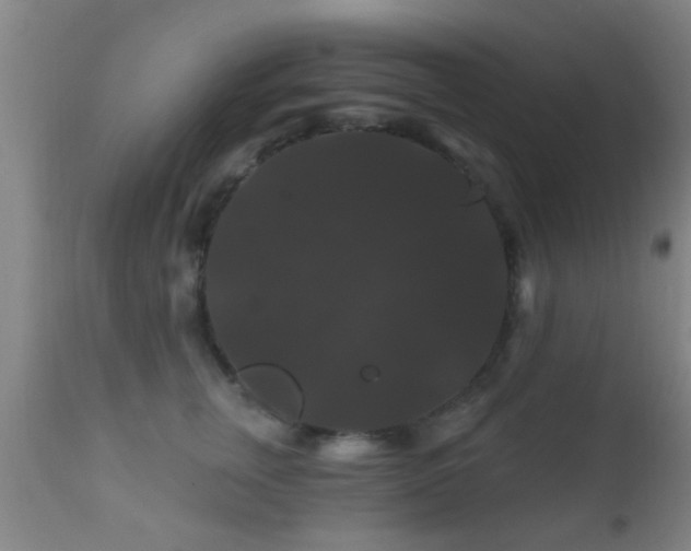 X0000112200759200908141433