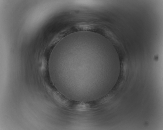 X0000112200760200908141433