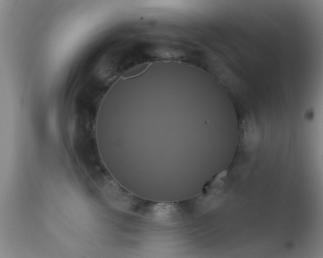 X0000112200762200908141433