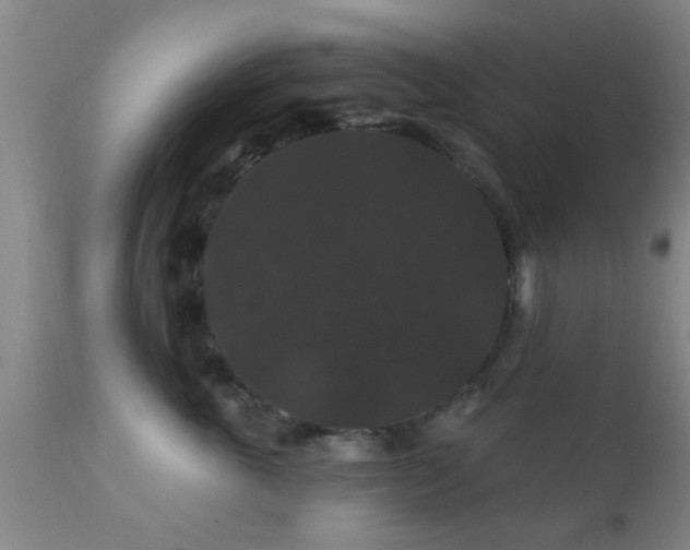X0000112200763200908141433