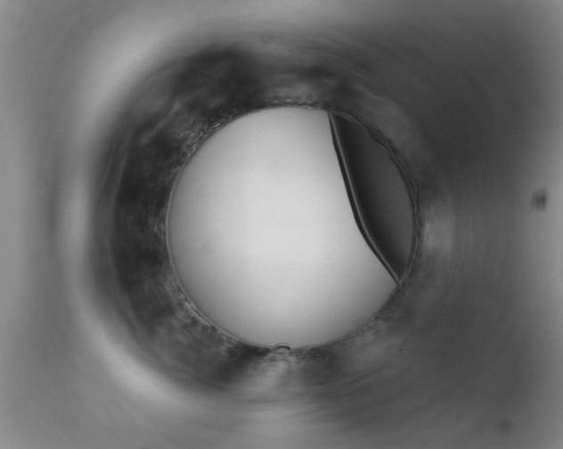 X0000112200764200908141433