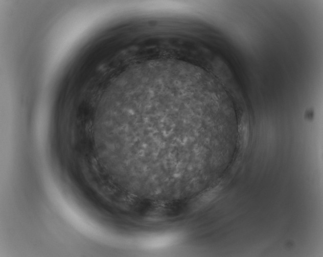 X0000112200765200908141433