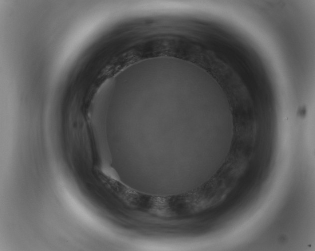 X0000112200766200908141433