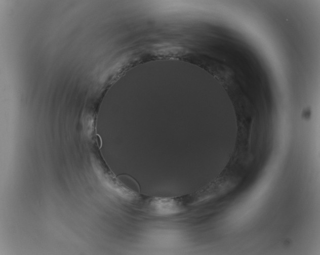 X0000112200767200908141433