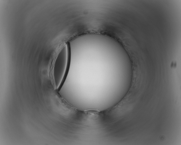 X0000112200768200908141433