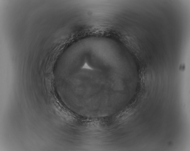 X0000112200769200908141432