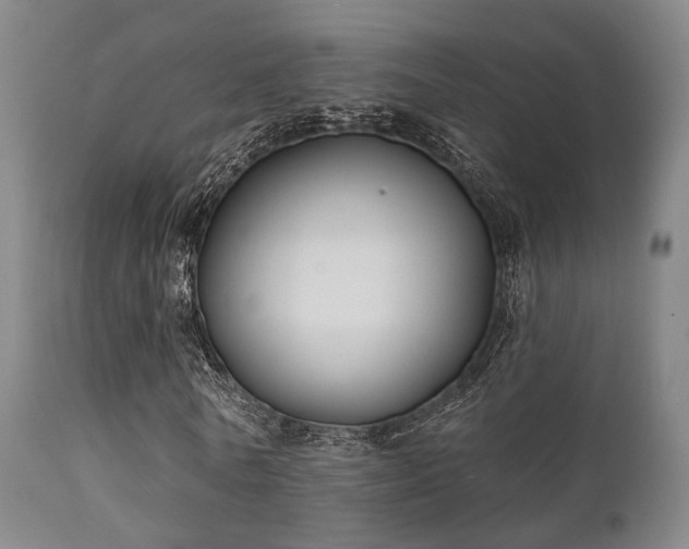 X0000112200770200908141432