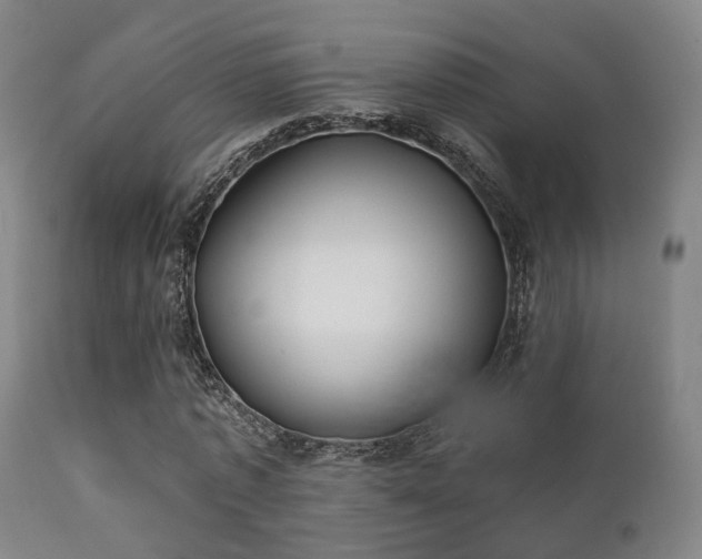 X0000112200773200908141432