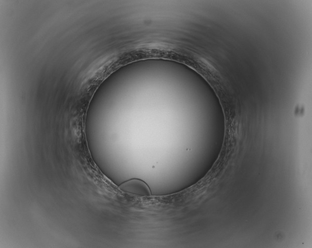 X0000112200774200908141432