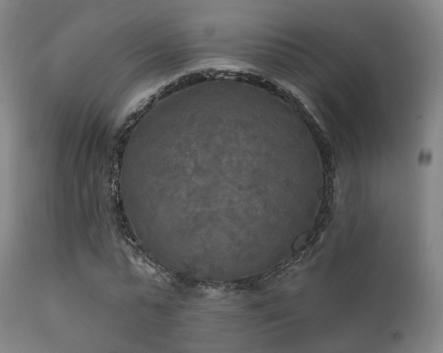 X0000112200775200908141432