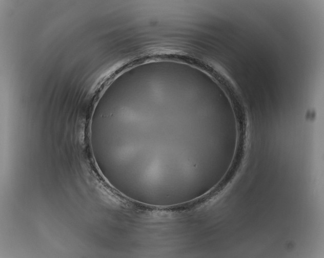 X0000112200777200908141432