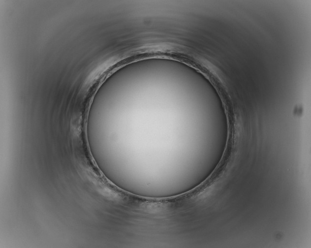 X0000112200778200908141432