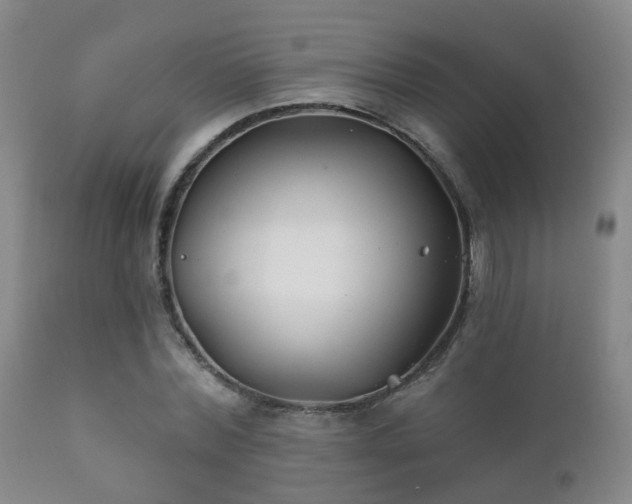X0000112200780200908141432
