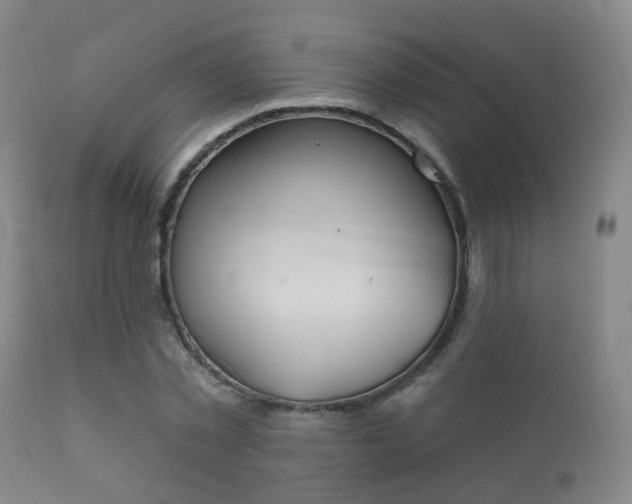 X0000112200781200908141432