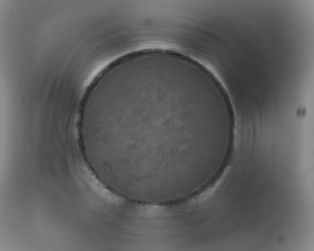 X0000112200783200908141432