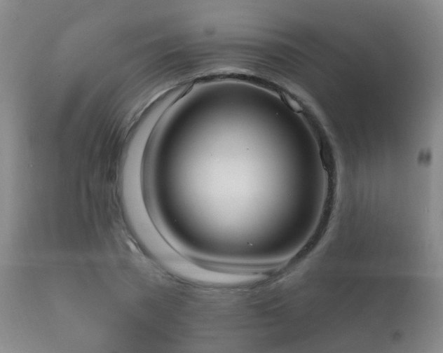 X0000112200785200908141432