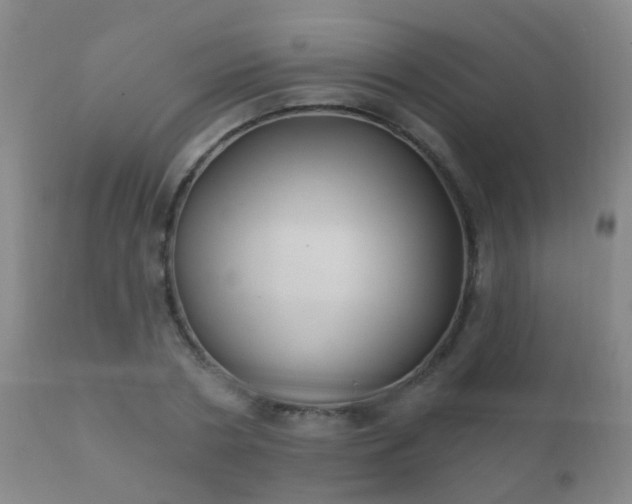 X0000112200786200908141432