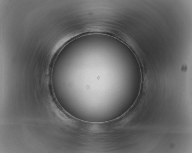 X0000112200787200908141432
