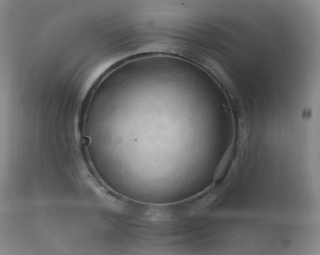 X0000112200788200908141432