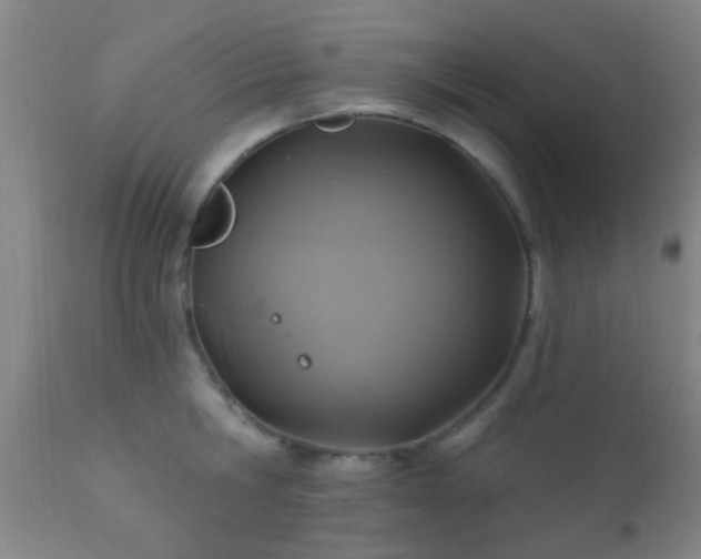 X0000112200806200908141432