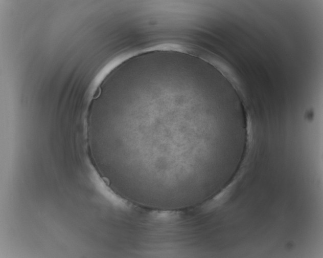 X0000112200808200908141432