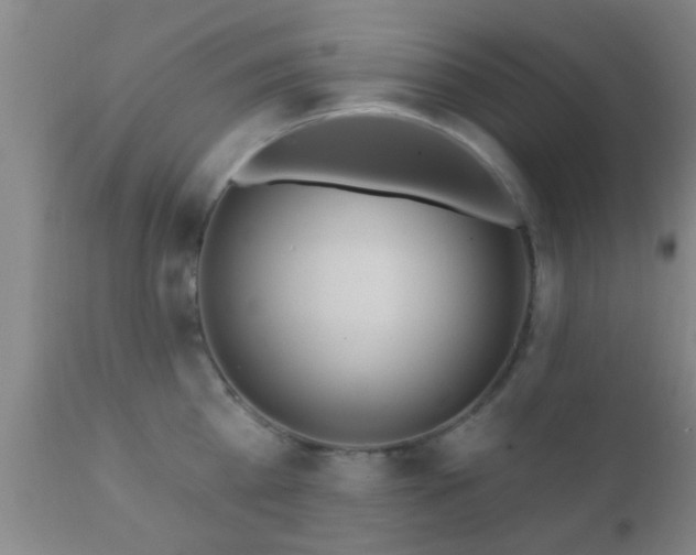 X0000112200809200908141432