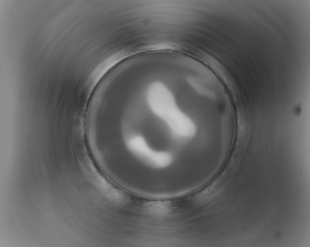 X0000112200810200908141432