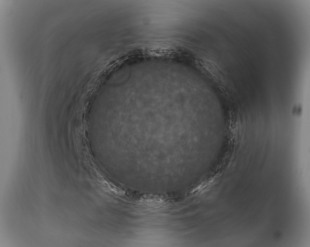 X0000112200817200908141431