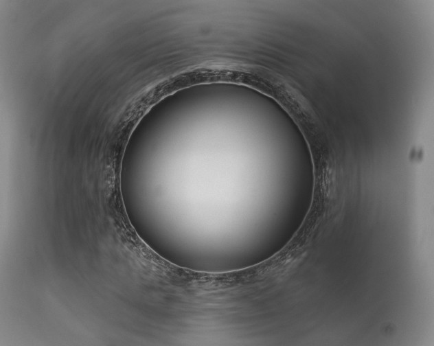 X0000112200821200908141431