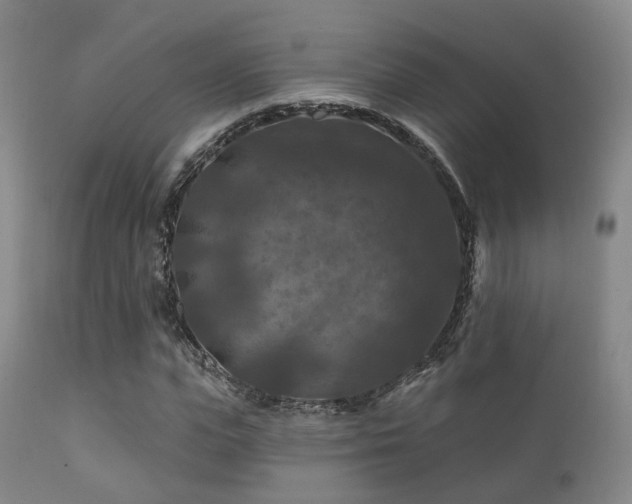 X0000112200823200908141431